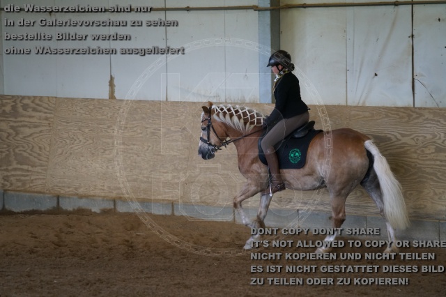 s_K3F03488.JPG